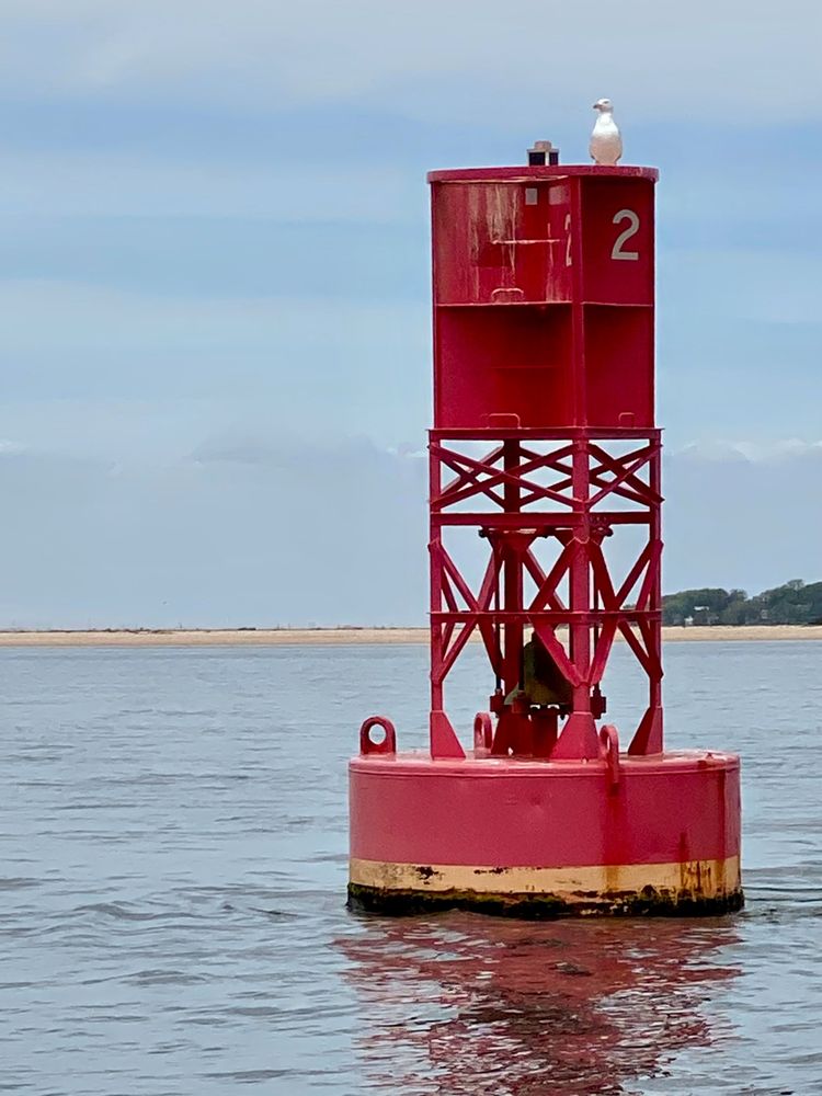 BALI BAY BOAT CHARTERS OF EASTERN LONG ISLAND 10 Photos Greenport