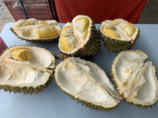 Durian 36 by null