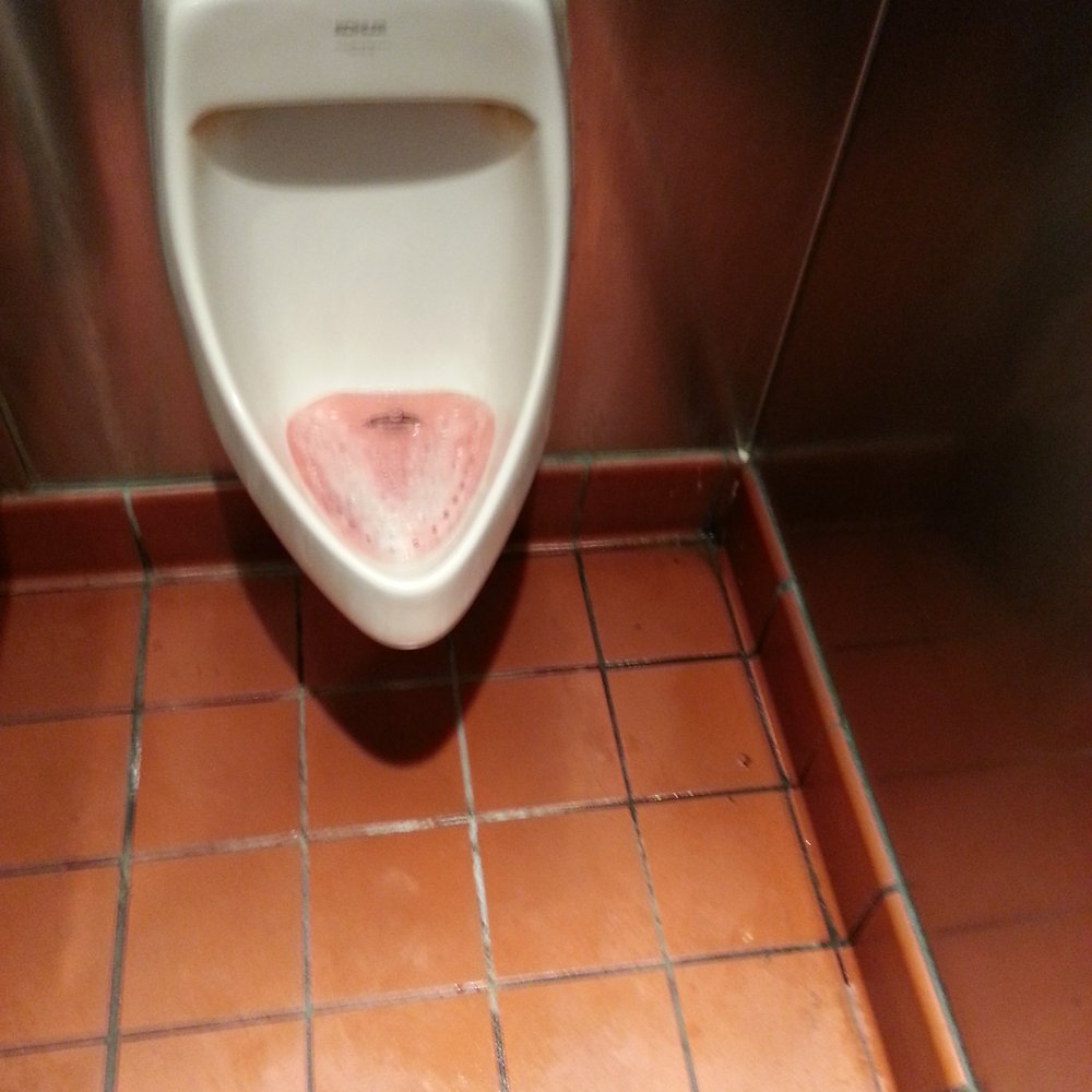 Chipotle Mexican Grill - Wet urine soaked floor!! - Mexican Near Me - Downey, California Chipotle Mexican Grill - Wet urine soaked floor!! - Mexican Near Me - Downey, California