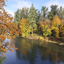 The Marylhurst School