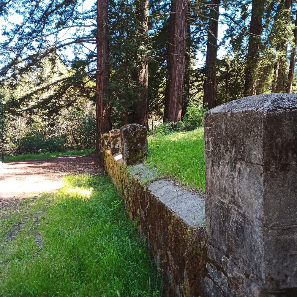 Mount Madonna County Park - Parks Near Me - Watsonville, California Mount Madonna County Park - Parks Near Me - Watsonville, California