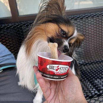 Bruster's Real Ice Cream - Ice Cream & Frozen Yogurt Near Me - Frisco, Texas Bruster's Real Ice Cream - Ice Cream & Frozen Yogurt Near Me - Frisco, Texas