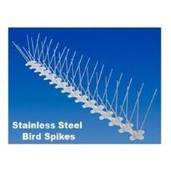 Accurate Cleaning - We install bird deterrents - Gutter Services Near Me - Loomis, California
