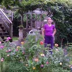 A Sanctuary Massage - Carol