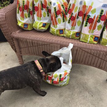 ALDI - Thaddeus checking through Instacart delivery - Grocery Near Me - Walnut, California