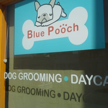 Blue Pooch - Pet Groomers Near Me - Los Angeles, California Blue Pooch - Pet Groomers Near Me - Los Angeles, California