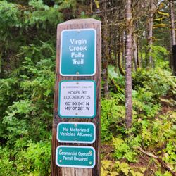 Virgin Creek Falls