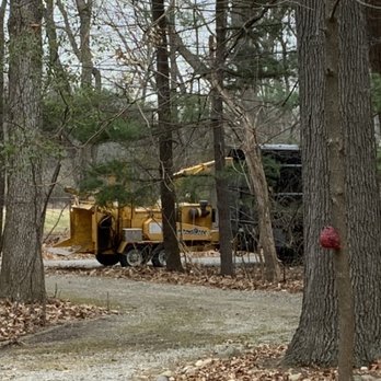 Mckay Tree Specialists - Tree Services Near Me Mckay Tree Specialists - Tree Services Near Me