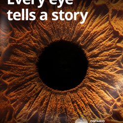 Spadina Optometry - Every eye tells a story. Like catching the early signs of serious health conditions. Visit our optometrists and learn your story.