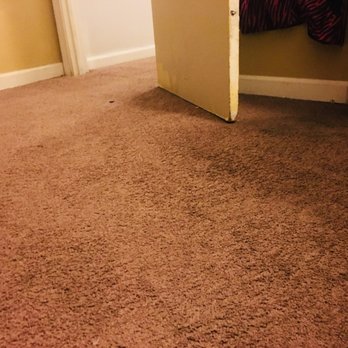 Carpet Wizzard - Carpet Cleaning Near Me