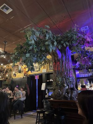 The Cauldron NYC by null