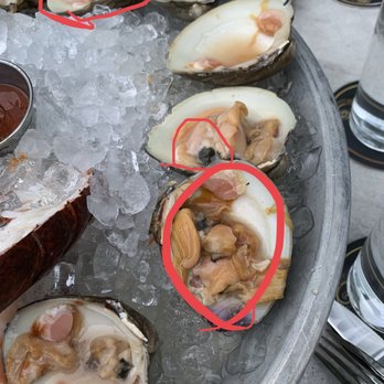 Loch Bar - Seafood tower - Seafood Near Me - Baltimore, Maryland Loch Bar - Seafood tower - Seafood Near Me - Baltimore, Maryland