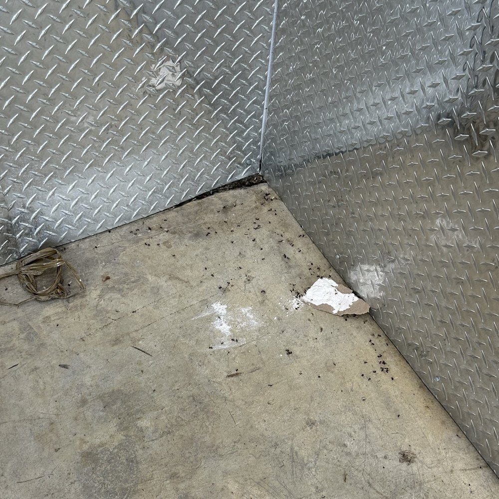 Self Storage Plus - Trash and rat poop inside near the broken elevator. - Self Storage Near Me - Springfield, Virginia Self Storage Plus - Trash and rat poop inside near the broken elevator. - Self Storage Near Me - Springfield, Virginia