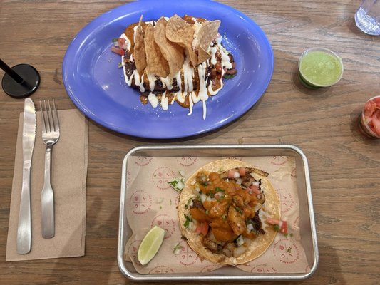 The Little Chihuahua by null