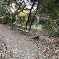 Chicarita Creek Self Guided Trail - Multiple benches line the trail so you can rest and relax
