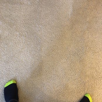 Pet Techs - Carpet Cleaning Near Me - Anaheim, California