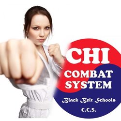 Chi Combat System Martial Arts