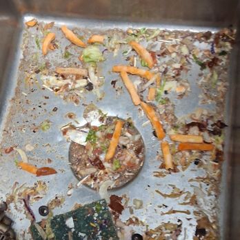 Taco Bell - Dirty kitchen dish sink left filthy  at closing to morning. AttrCts bugs and rodents. - Tacos Near Me - Albert Lea, Minnesota