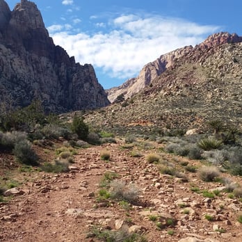 New Oak Creek Trail - Close to shade - Hiking Near Me - Las Vegas, Nevada