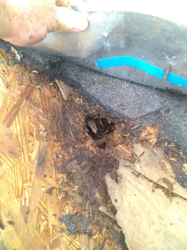 Slide of MV Roofing And Tree Services