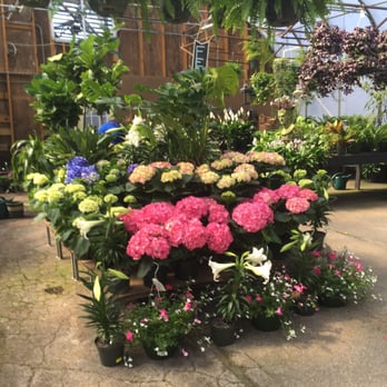 Flower Mart by Sunrise - Nurseries & Gardening Near Me - Nashville, Tennessee