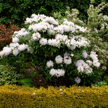 Geilston Gardens - Geilston Gardens Cardross, Dumbarton - Parks Near Me