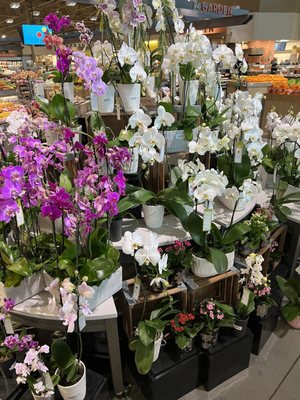 Albertsons by null