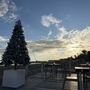 Photo of Aurora beach