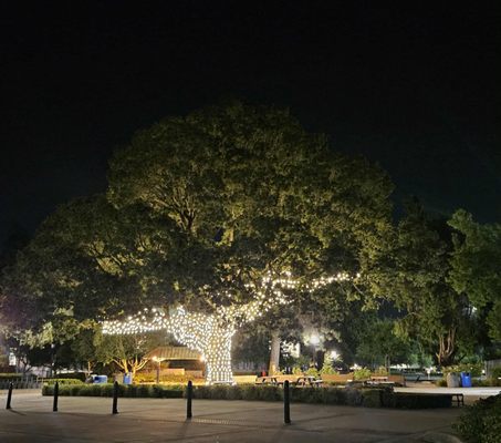 University of Portland by null