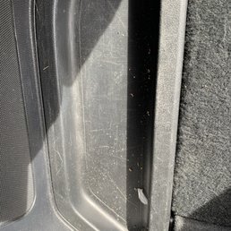 Trunk area Trunk area