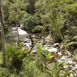 Destilaria Artesanal de Aguardente Engenho D'Ouro
