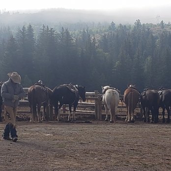 A-Ok Corral - Preston and the horses - Tours Near Me - Jackson, Wyoming