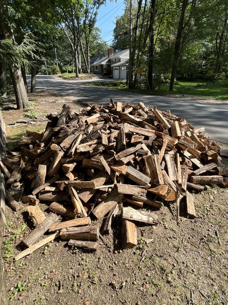 LP Murray & Sons - septic in Cape Elizabeth, ME