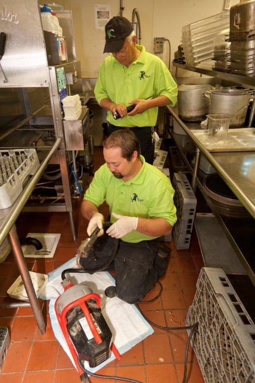 Slide of Aardvark Rooter