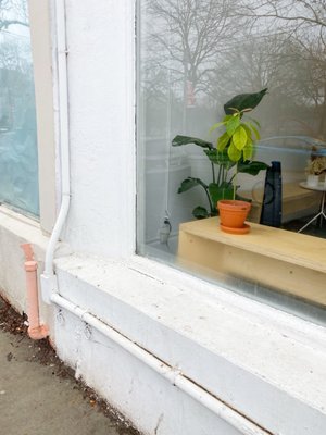 Sam James Coffee Bar PARK by null