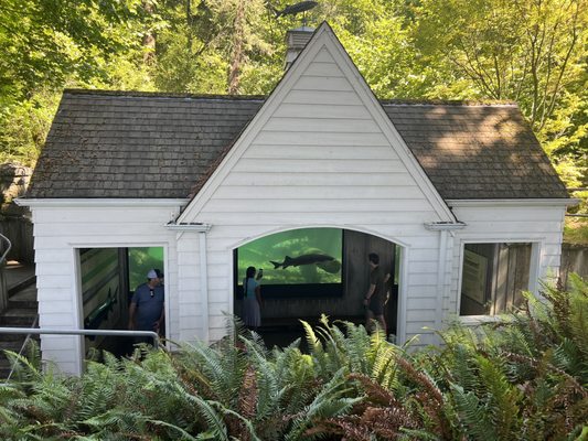 Bonneville Fish Hatchery by null