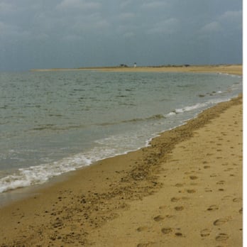 Race Point Lighhouse - A long walk - Hiking Near Me