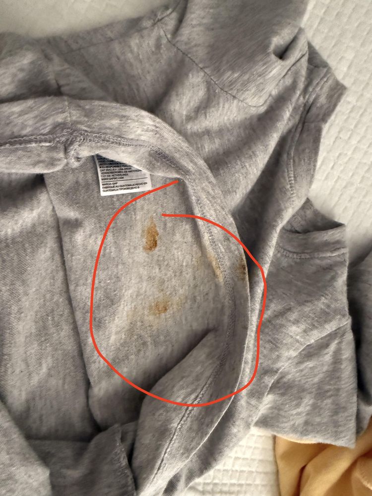 Vinci School - childcare center in Alexandria, VA