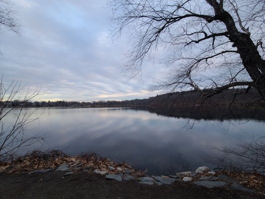 Jamaica Pond Park by null