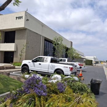 Orange County Tree Services - Tree Services Near Me Orange County Tree Services - Tree Services Near Me