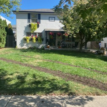 Scottscape Tree Service - After 1 - Tree Services Near Me - Lewis Center, Ohio Scottscape Tree Service - After 1 - Tree Services Near Me - Lewis Center, Ohio