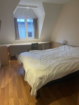 ibis Erfurt Altstadt by null