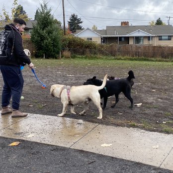 Luuwit View Dog Park - Dog Parks Near Me - Portland, Oregon Luuwit View Dog Park - Dog Parks Near Me - Portland, Oregon