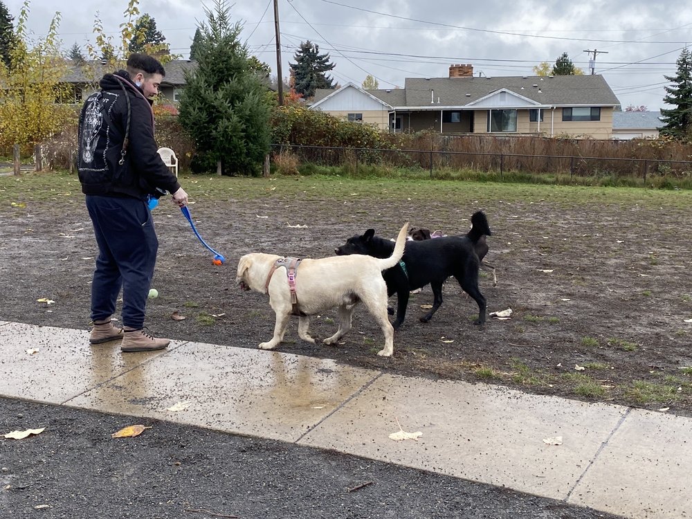 LUUWIT VIEW DOG PARK 12641 NE Fremont St, Portland, Oregon Dog