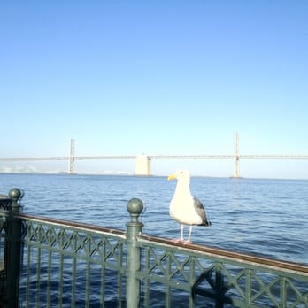 Embarcadero Public Promenade - From the promenade - Local Flavor Near Me - San Francisco, California
