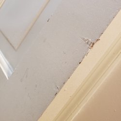 Two Men and a Truck Annapolis - Dented drywall and doorframe from them ramming items through. This is how they broke my freezer