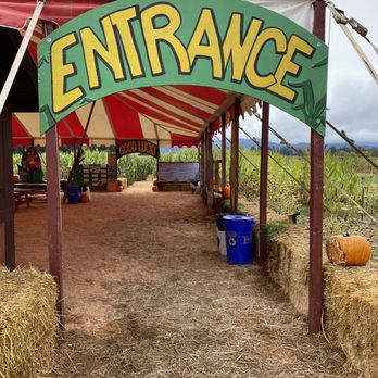 The Maize at The Pumpkin Patch - Maze entrance - Pumpkin Patches Near Me - Portland, Oregon