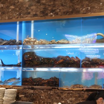 New Century Restaurant - Seafood tank. - Dim Sum Near Me - Markham, Ontario