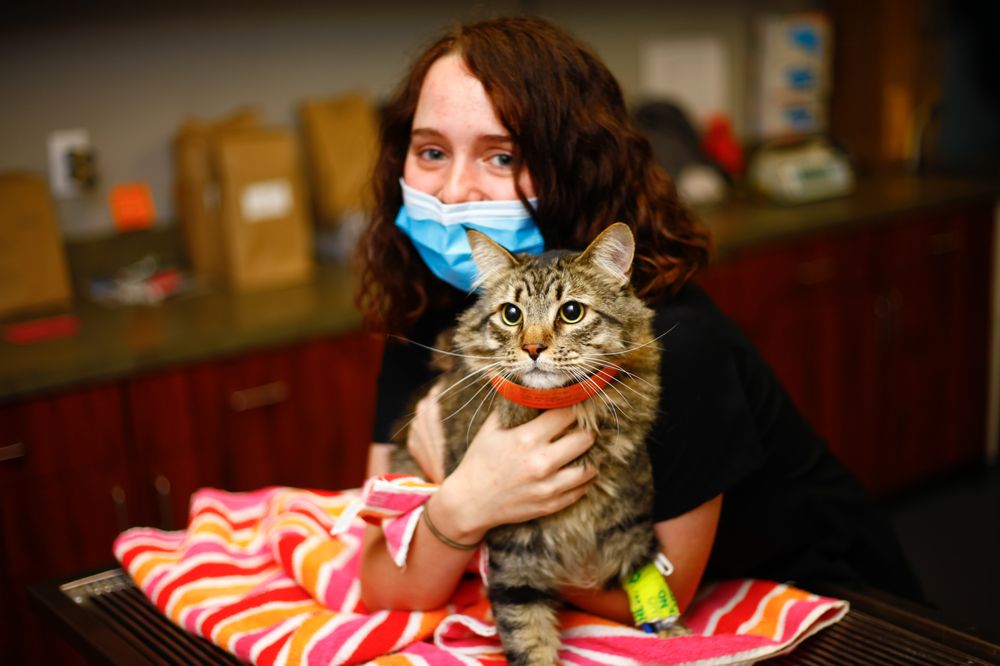 SWANN ANIMAL CLINIC AT 45TH Updated October 2024 18 Photos & 36 Reviews 3102 SW 45th Ave