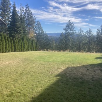 Legacy Landscapes - Before - Landscape Architects or Designers Near Me - Colbert, Washington